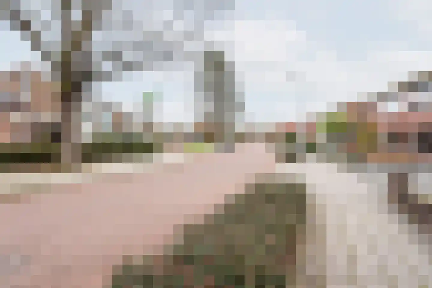 Spoorstraat 17 Dinxperlo thumbnail 43
