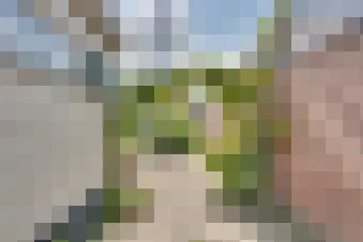 Spoorstraat 188 Roosendaal thumbnail 35