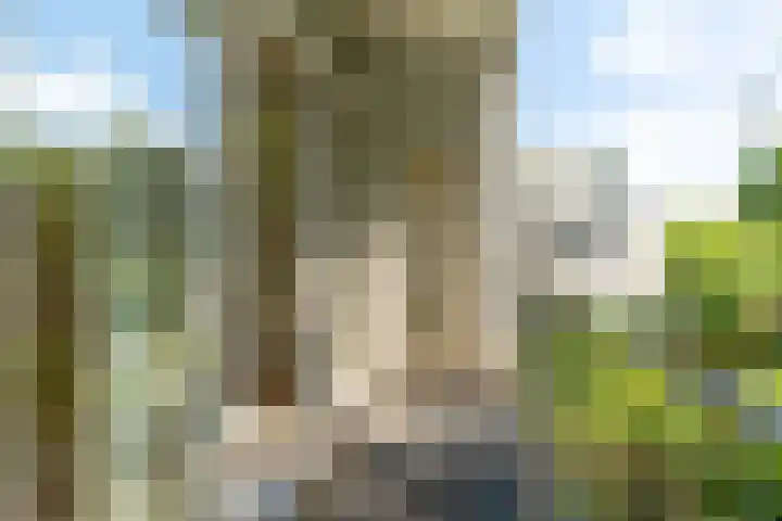 Spoorstraat 2 A Voorburg thumbnail 5