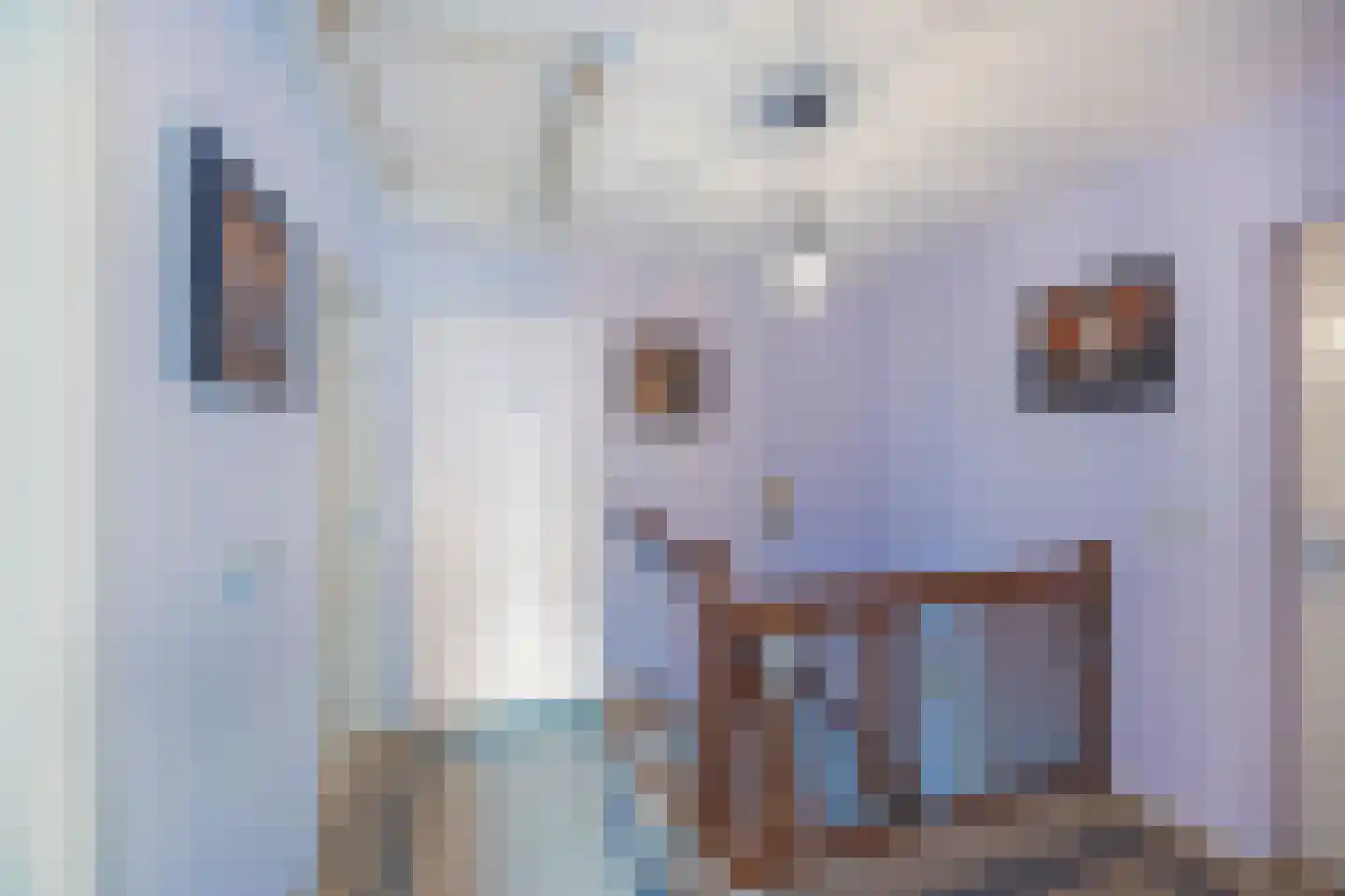 Spoorstraat 2 Echt thumbnail 38