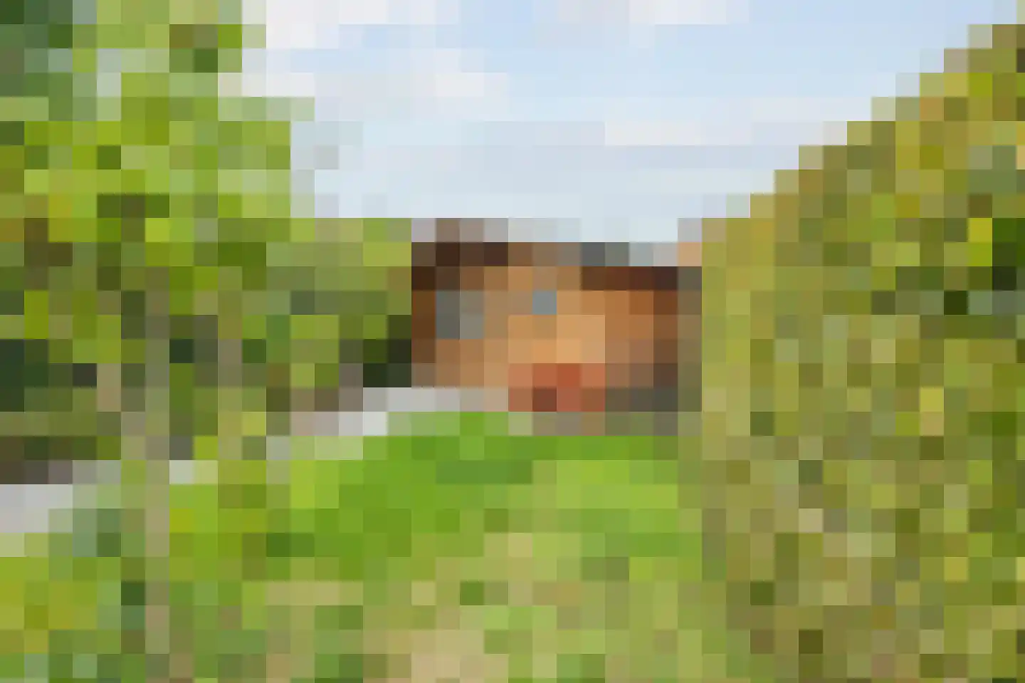 Spoorstraat 2 Echt thumbnail 45