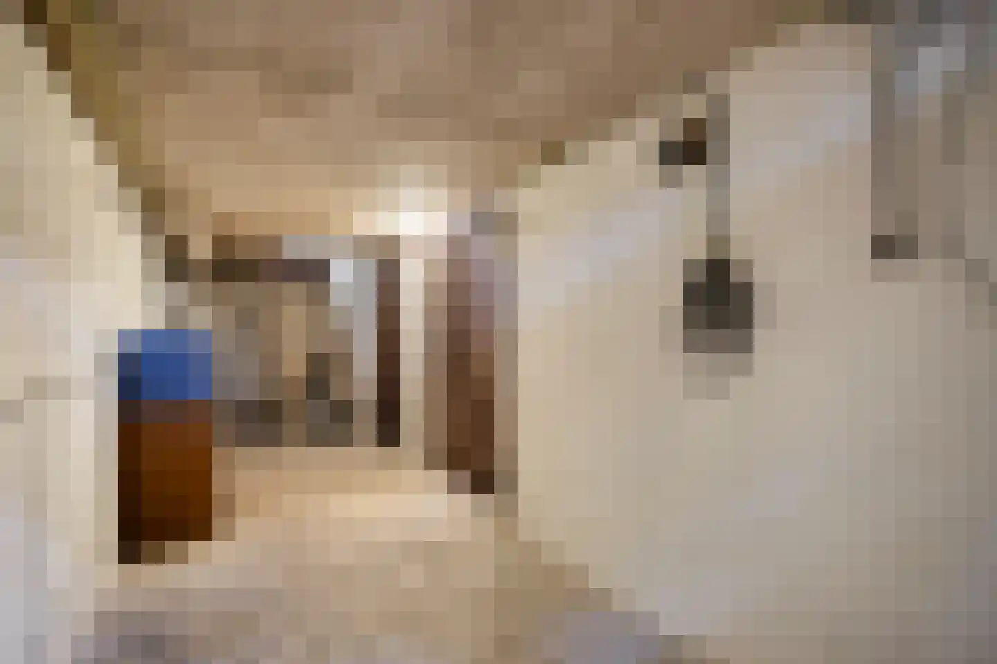 Spoorstraat 2 Eijsden thumbnail 37