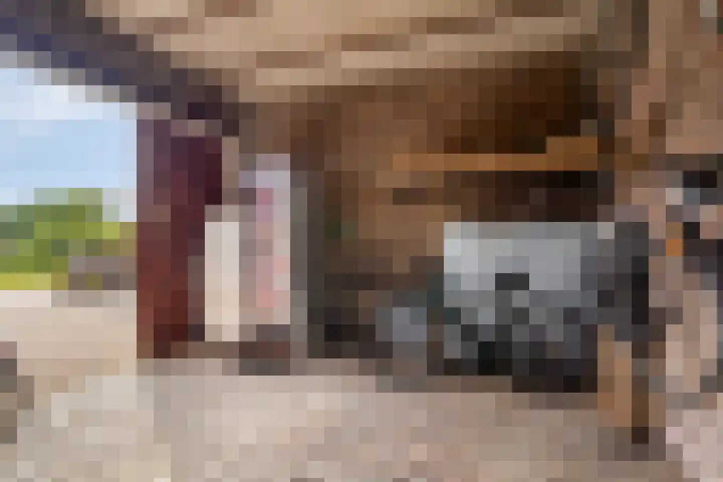 Spoorstraat 2 Eijsden thumbnail 40