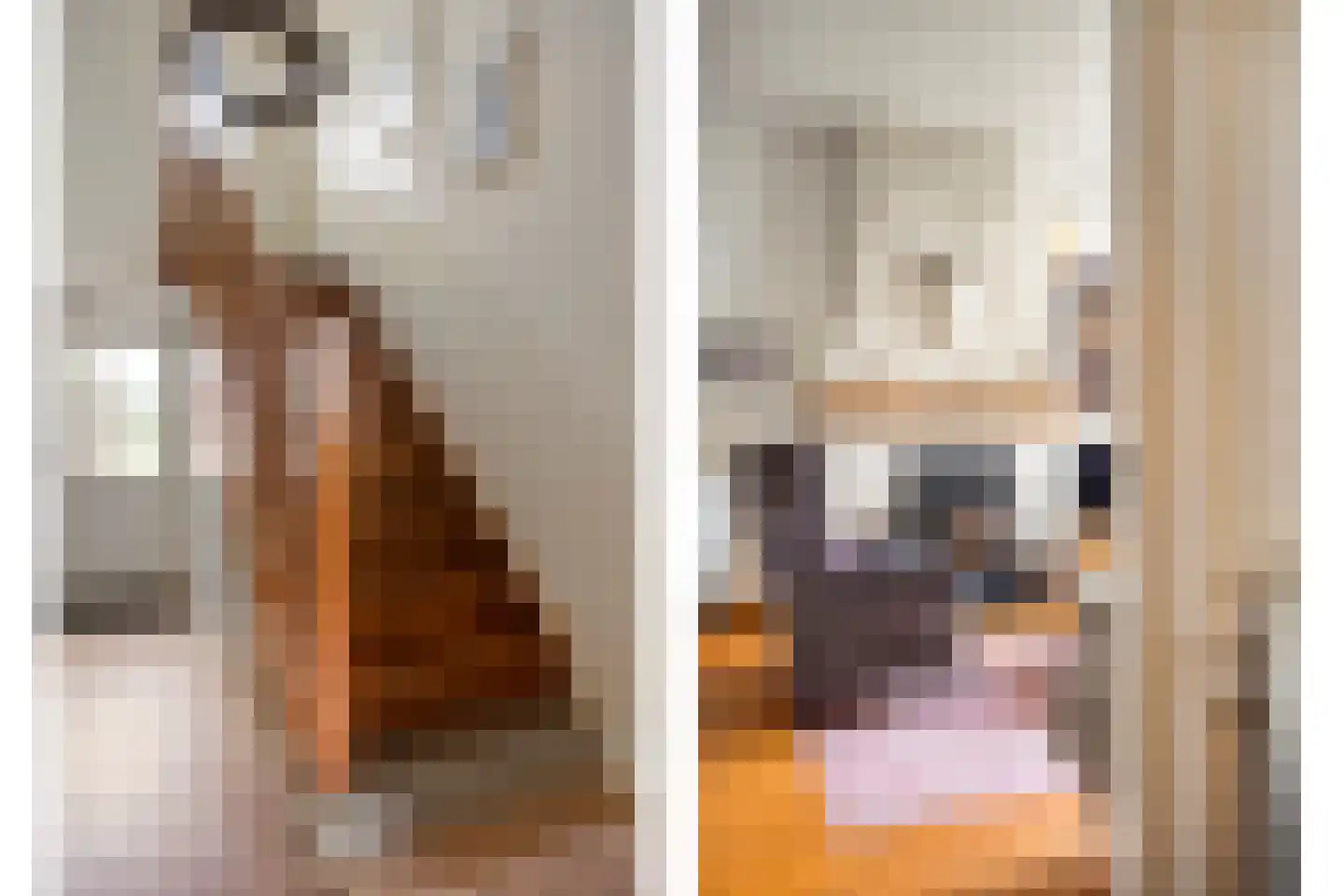 Spoorstraat 2 Eijsden thumbnail 6