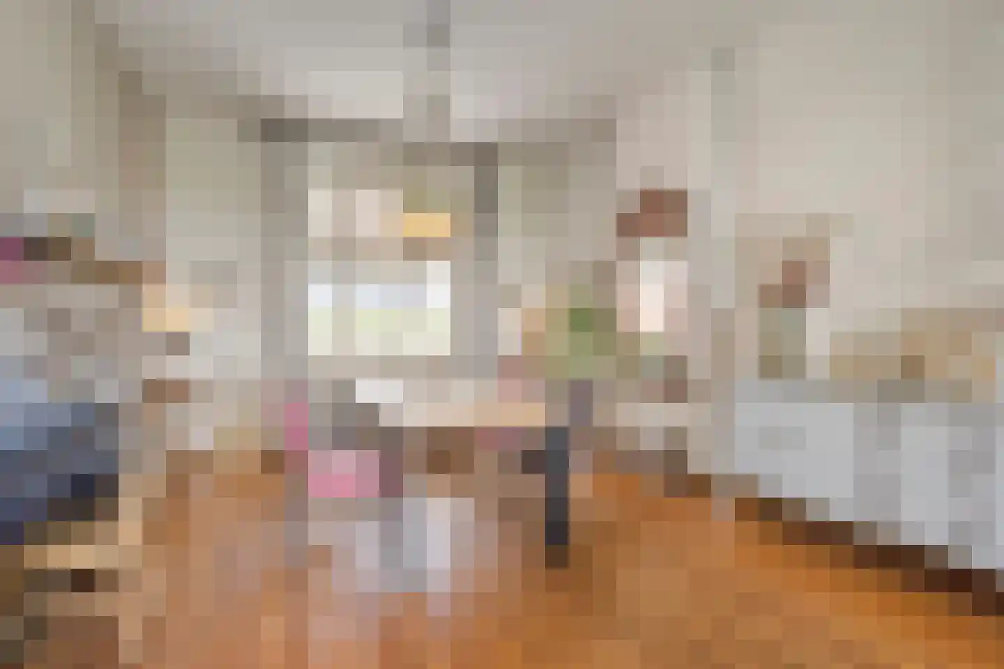 Spoorstraat 2 Eijsden thumbnail 9