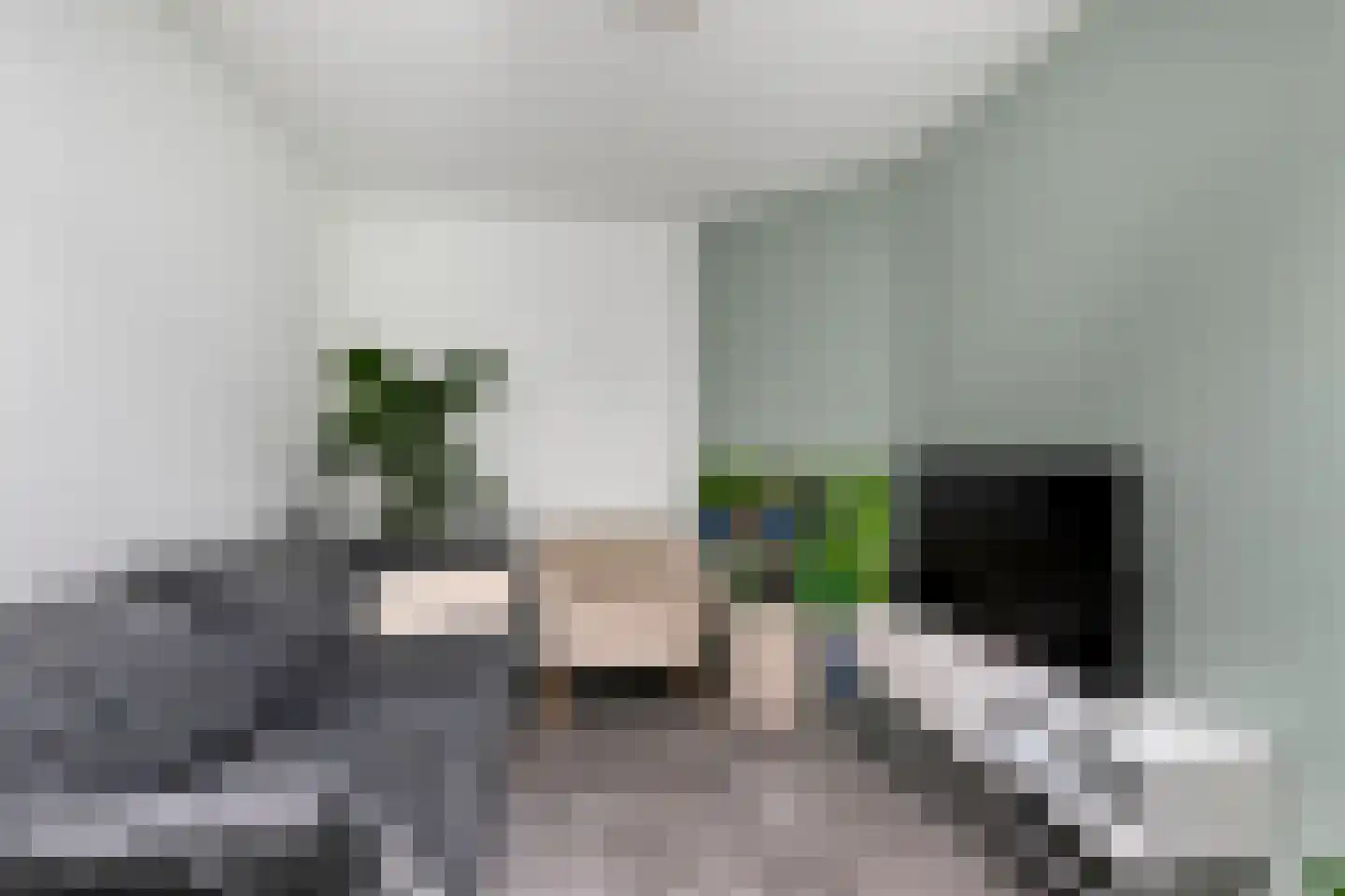 Spoorstraat 2 Mill thumbnail 16
