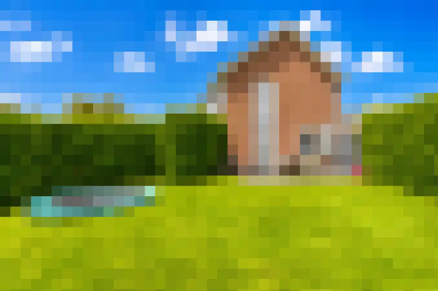 Spoorstraat 2 Mill thumbnail 34