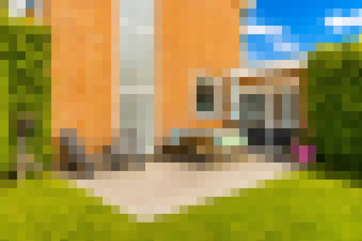 Spoorstraat 2 Mill thumbnail 36
