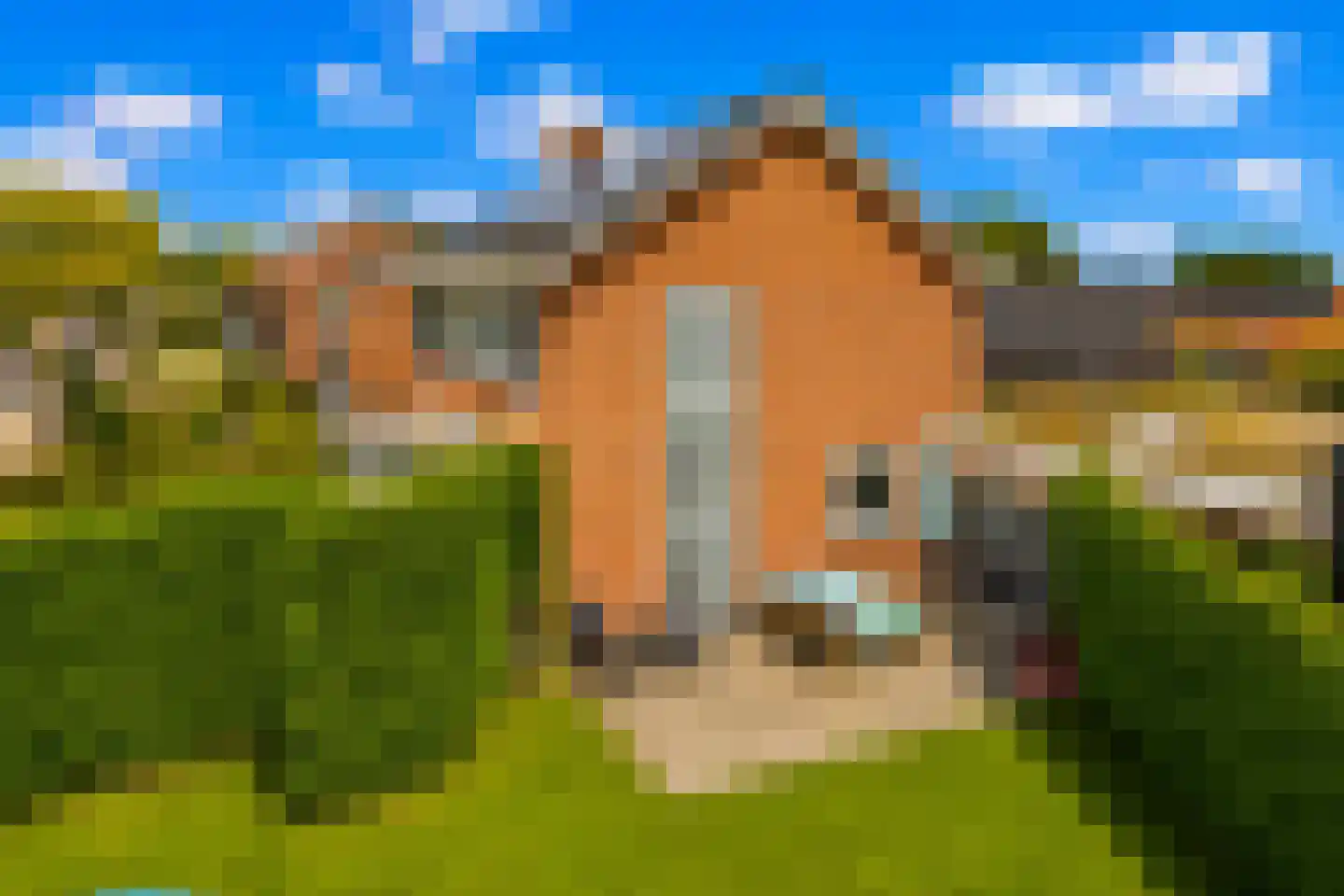 Spoorstraat 2 Mill thumbnail 37