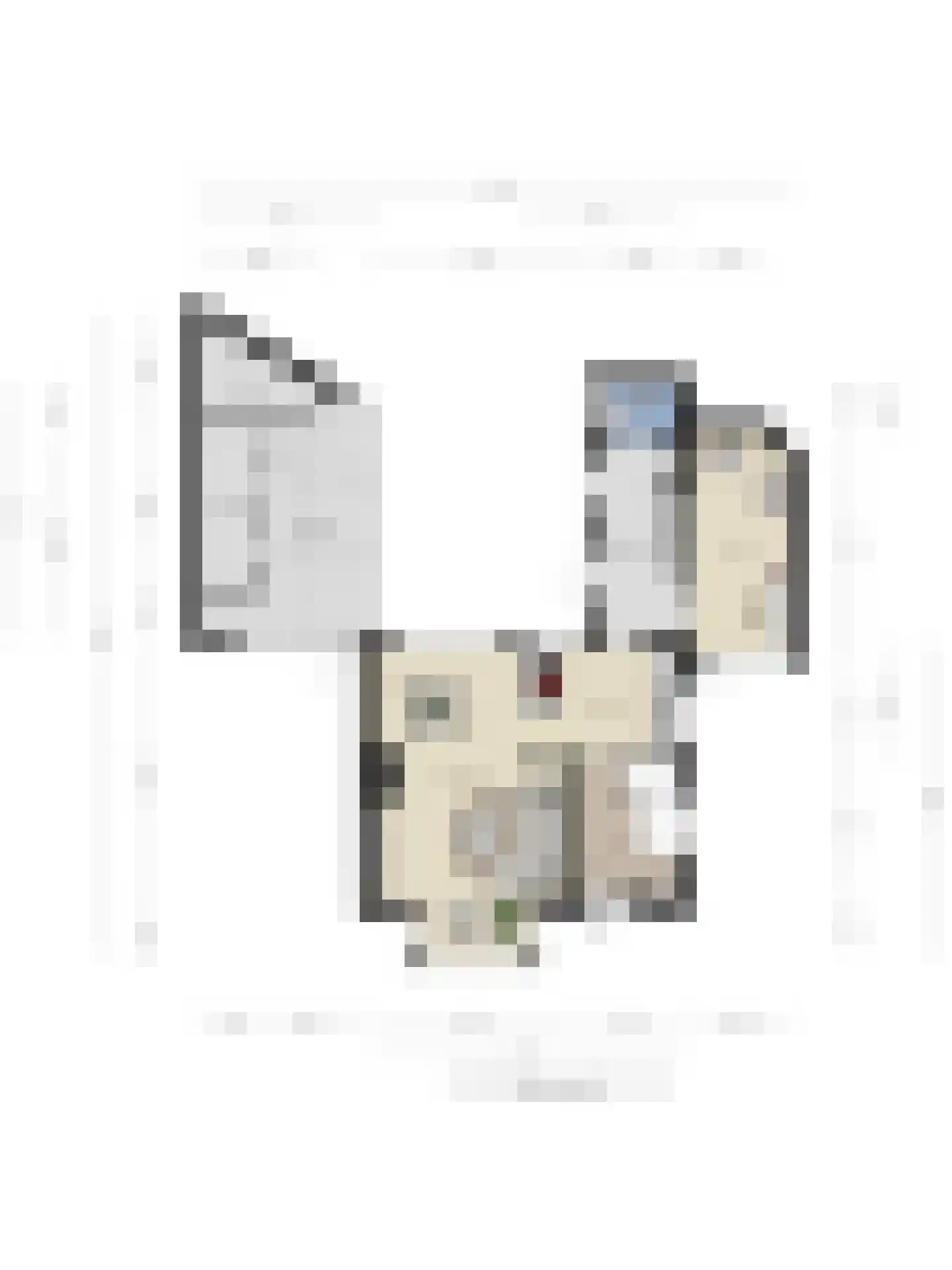 Spoorstraat 2 Mill thumbnail 46