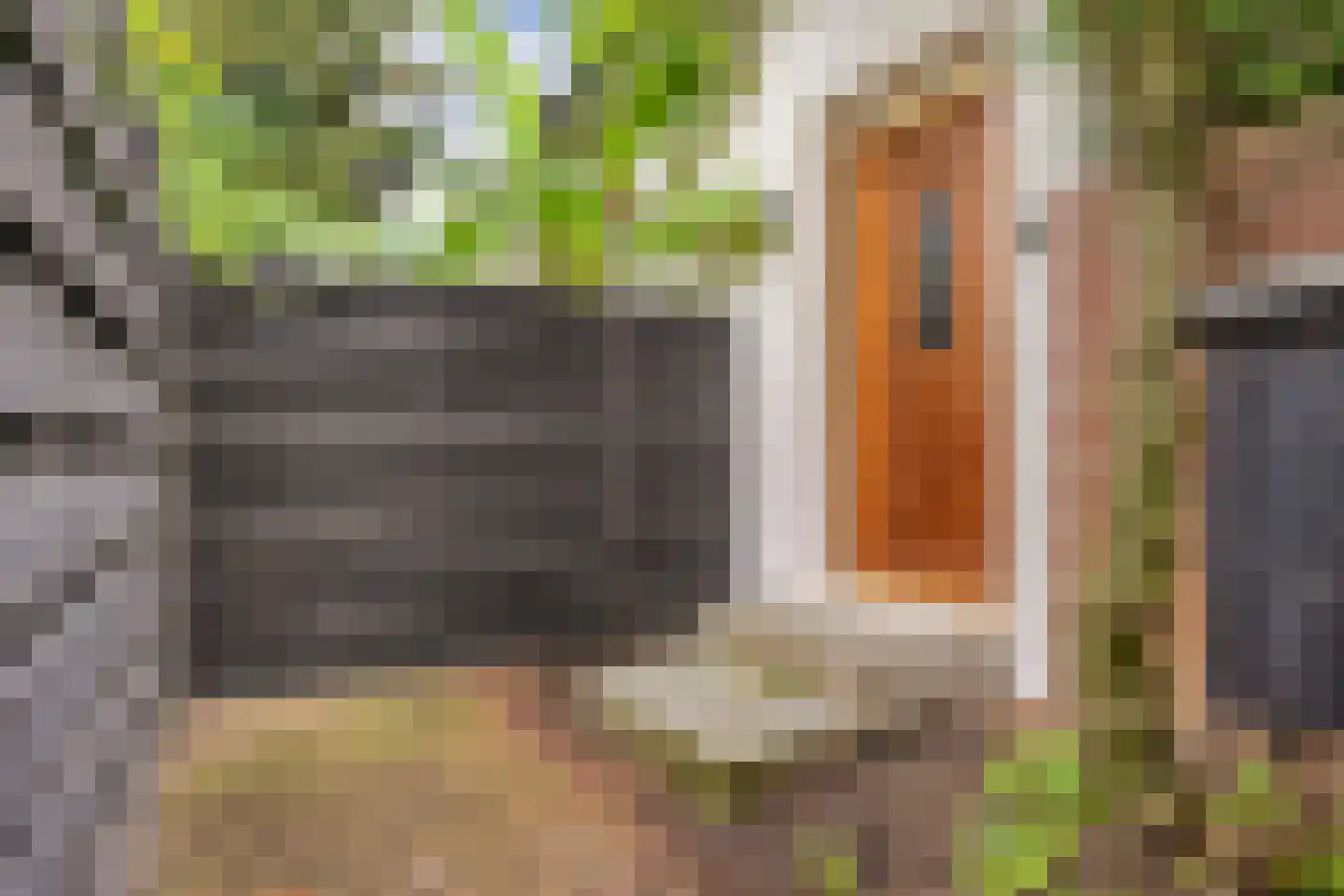 Spoorstraat 2 Vierlingsbeek thumbnail 24
