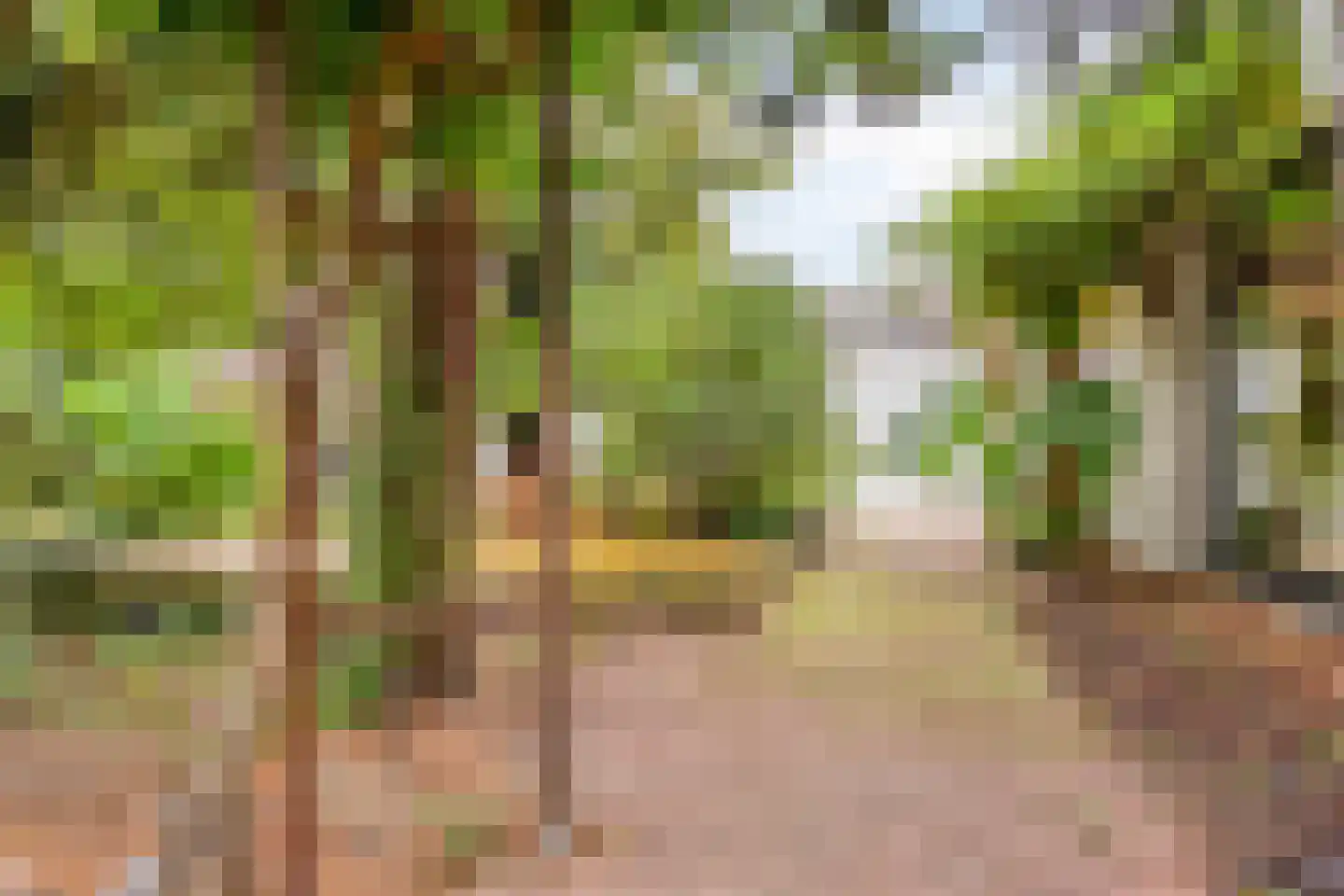 Spoorstraat 2 Vierlingsbeek thumbnail 76