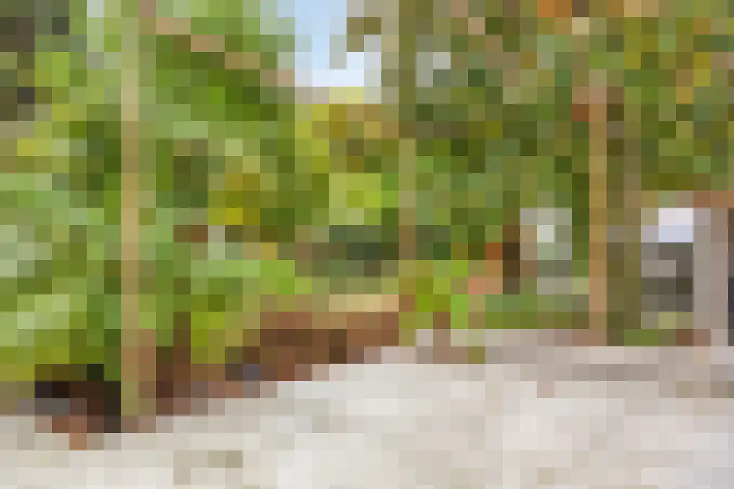 Spoorstraat 2 Vierlingsbeek thumbnail 78