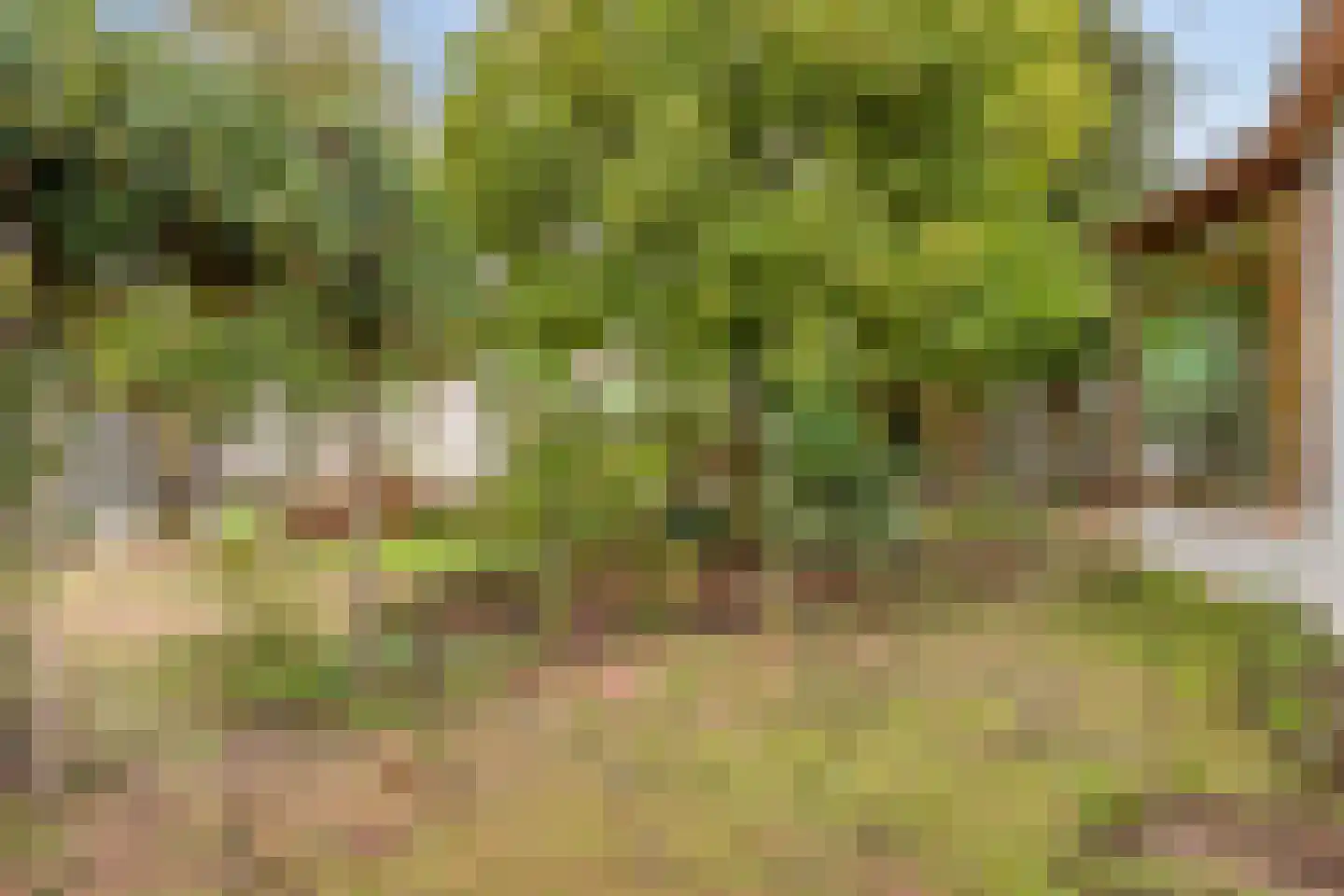 Spoorstraat 2 Vierlingsbeek thumbnail 81