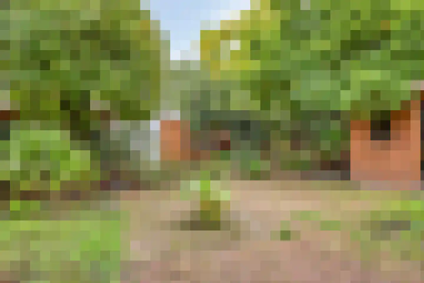 Spoorstraat 2 Vierlingsbeek thumbnail 87