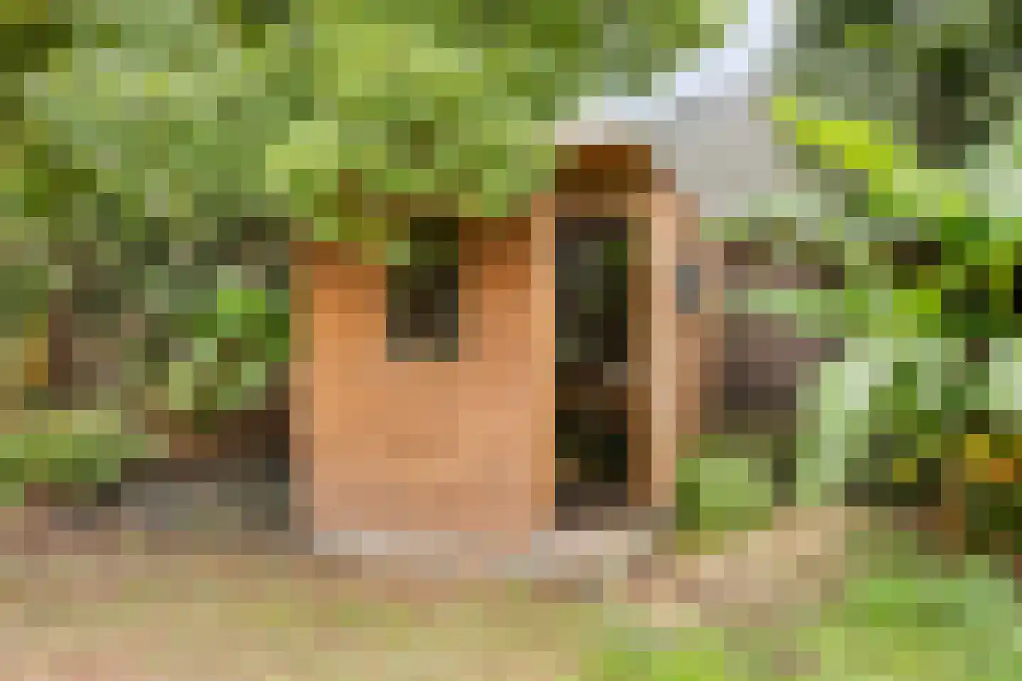 Spoorstraat 2 Vierlingsbeek thumbnail 88