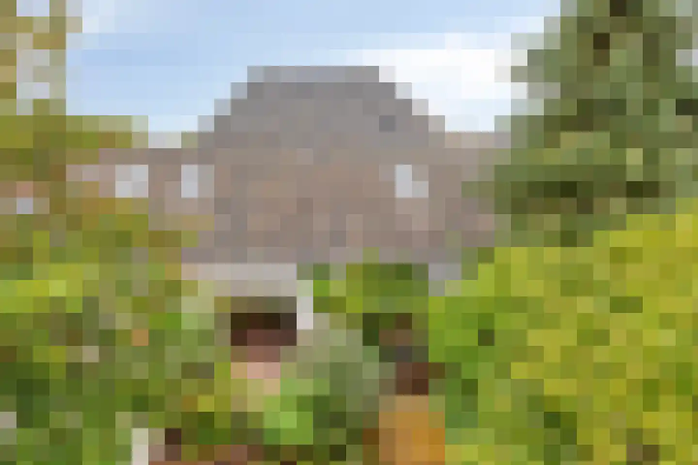 Spoorstraat 2 Vierlingsbeek thumbnail 91