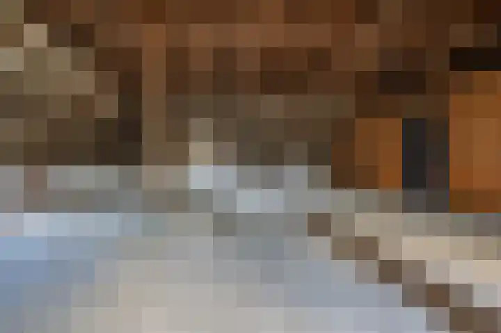 Spoorstraat 20 Brummen thumbnail 19