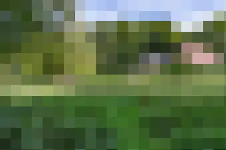Spoorstraat 20 Brummen thumbnail 26