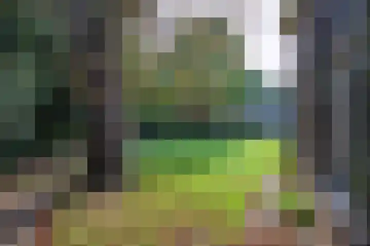 Spoorstraat 20 Brummen thumbnail 27