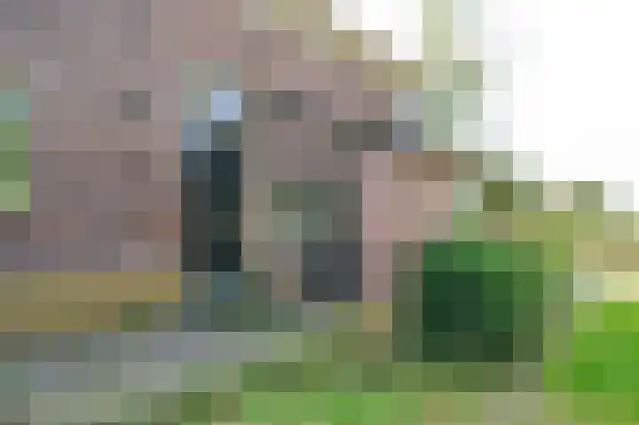 Spoorstraat 20 Brummen thumbnail 28