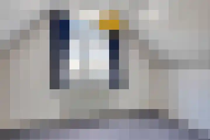 Spoorstraat 224 Roosendaal thumbnail 21