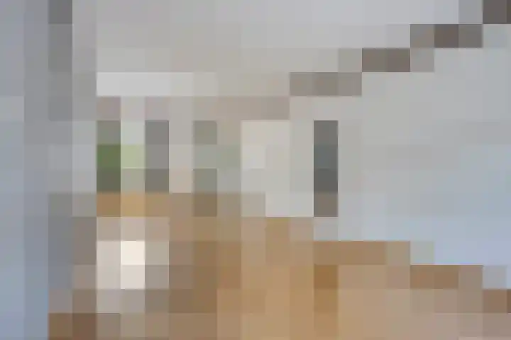 Spoorstraat 224 Roosendaal thumbnail 7