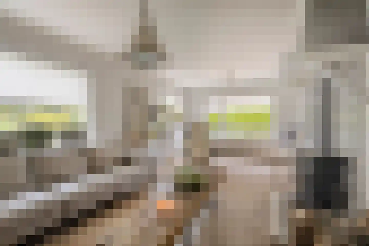 Spoorstraat 23 Lunteren thumbnail 11