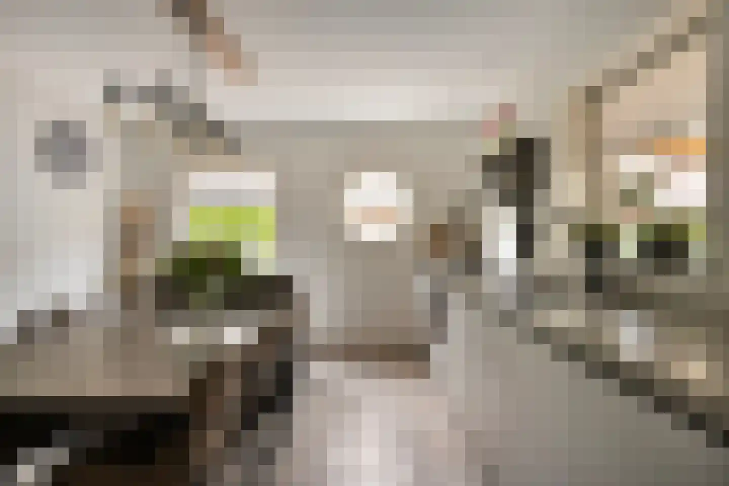 Spoorstraat 23 Lunteren thumbnail 13