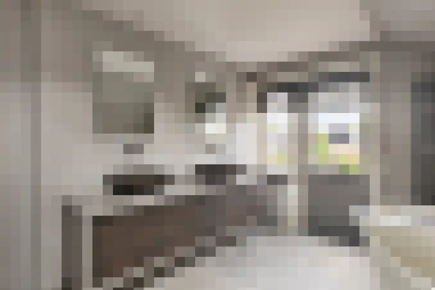 Spoorstraat 23 Lunteren thumbnail 29