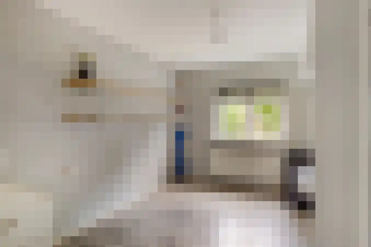 Spoorstraat 23 Lunteren thumbnail 34