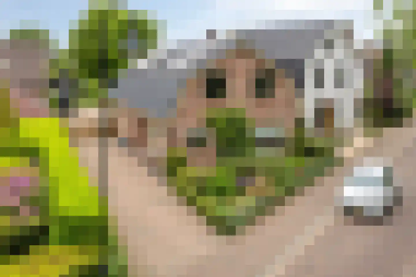 Spoorstraat 23 Lunteren thumbnail 4