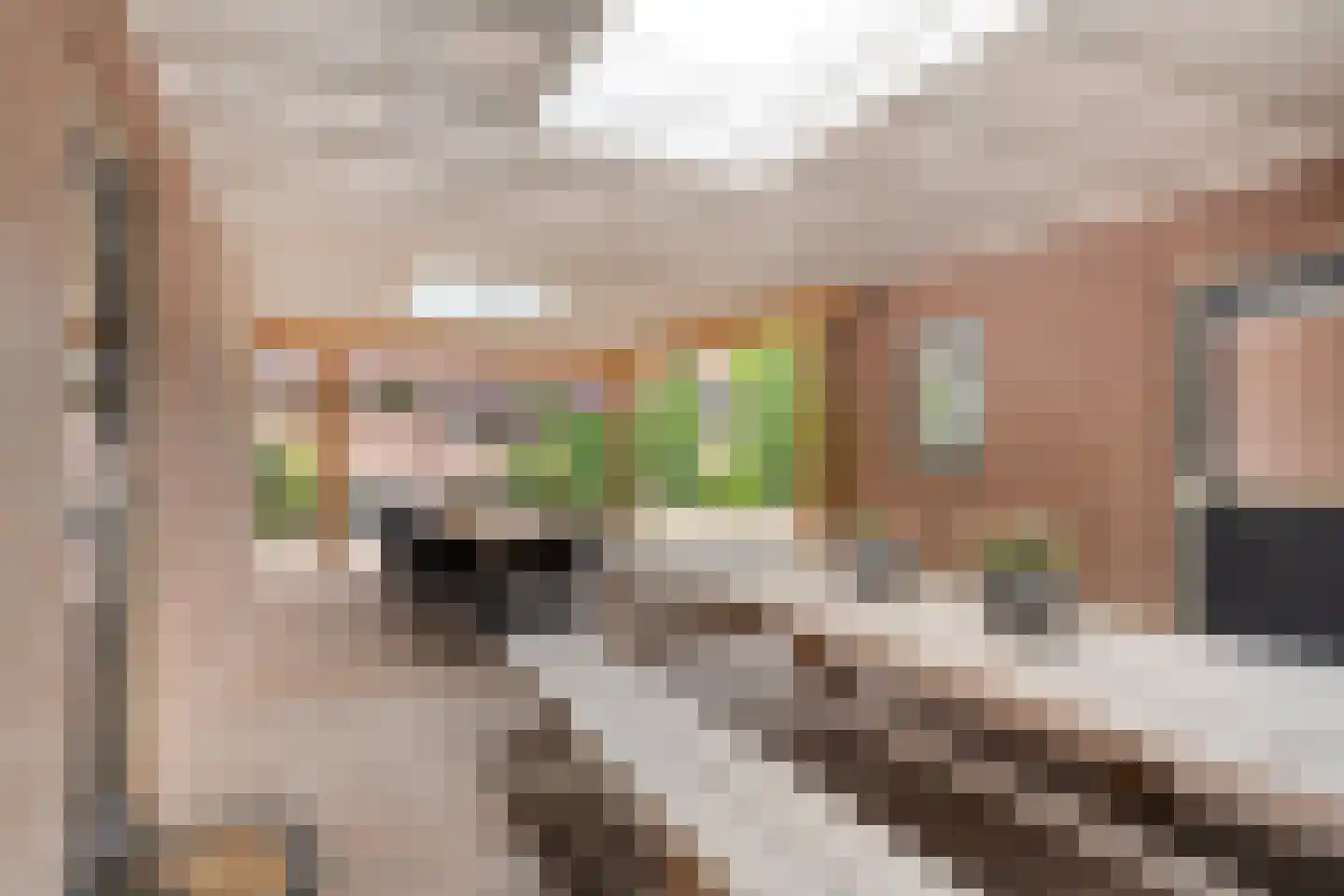 Spoorstraat 23 Lunteren thumbnail 40