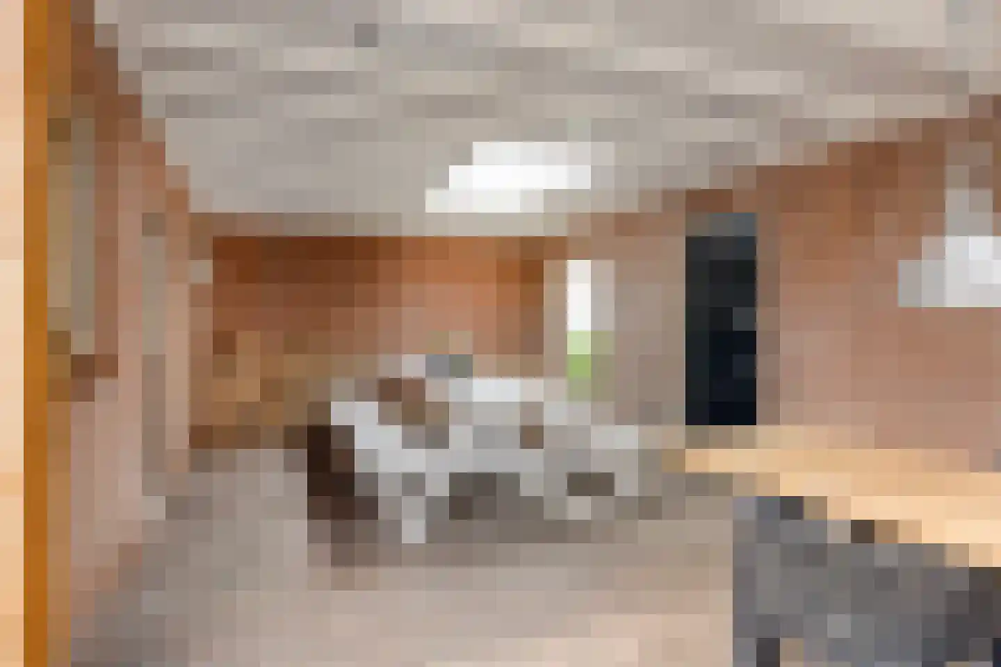 Spoorstraat 23 Lunteren thumbnail 41
