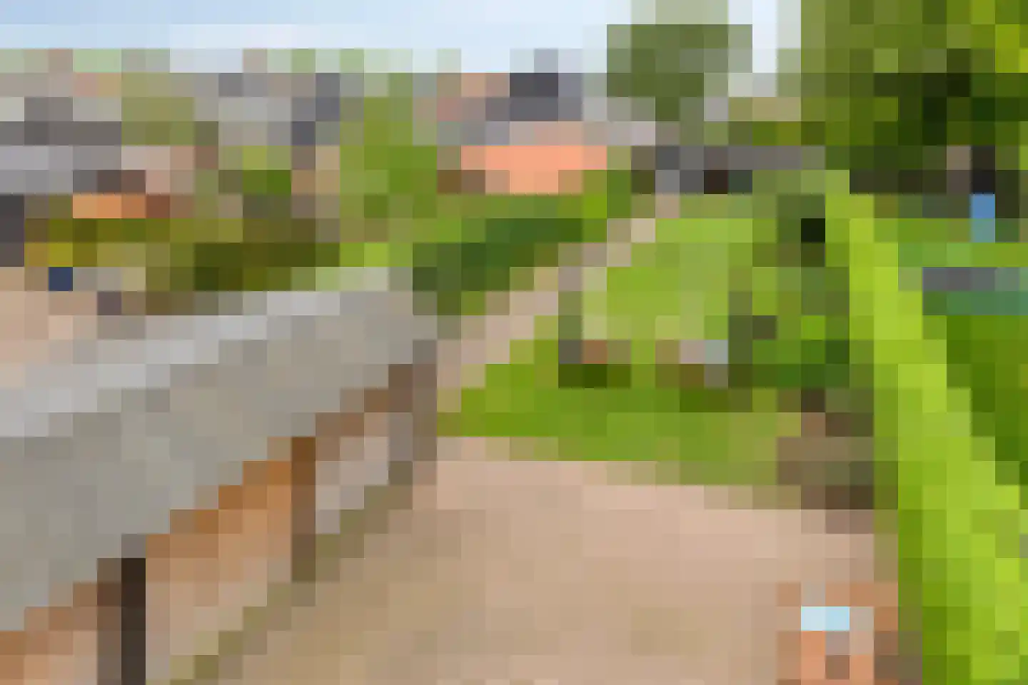 Spoorstraat 23 Lunteren thumbnail 55