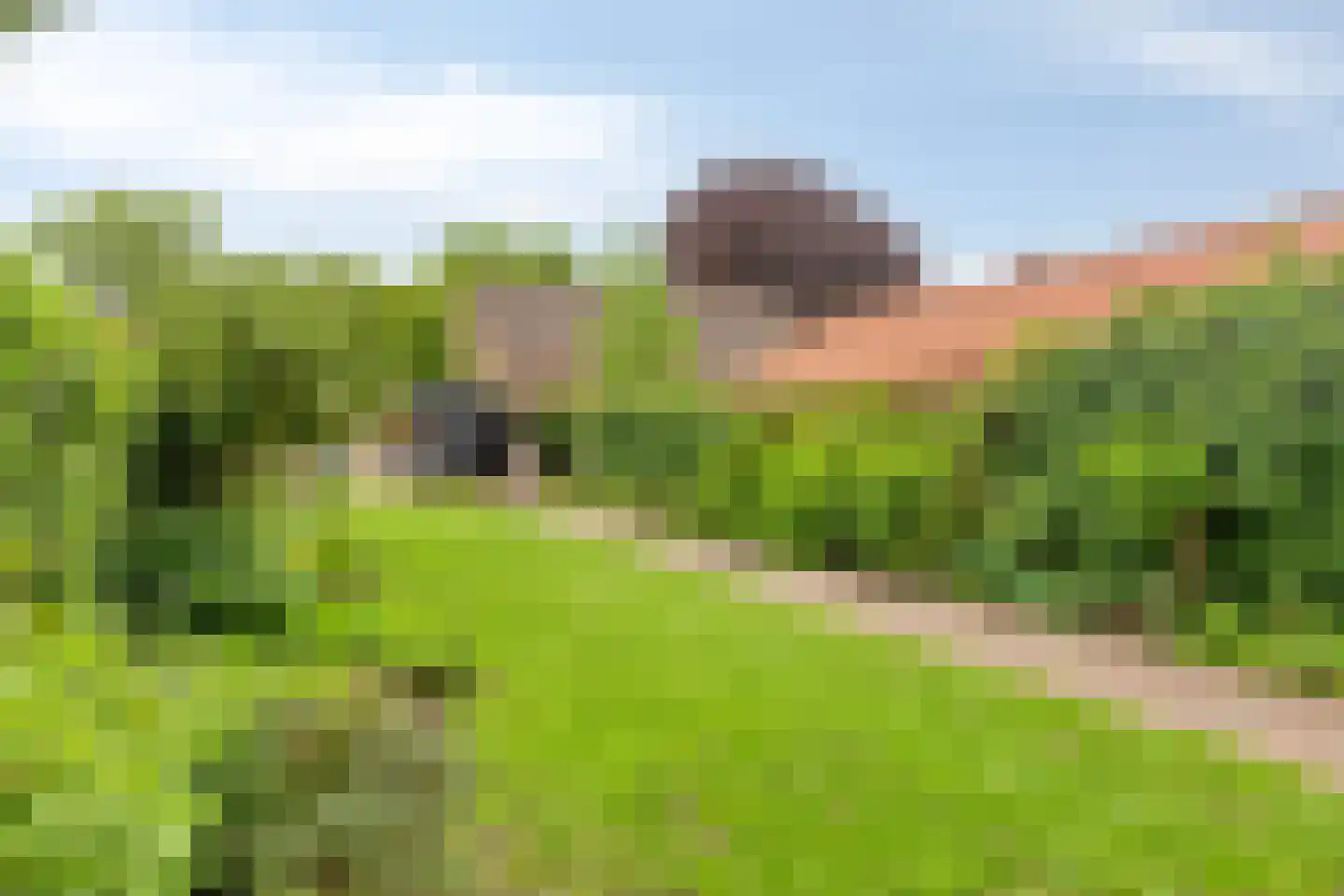 Spoorstraat 23 Lunteren thumbnail 57