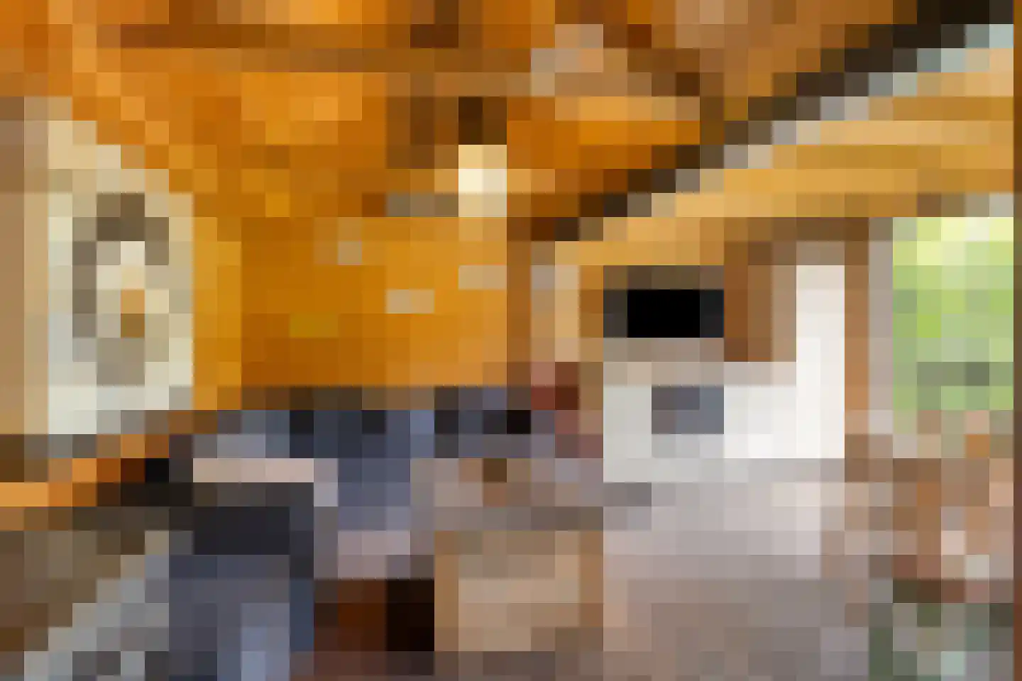 Spoorstraat 23 Lunteren thumbnail 62