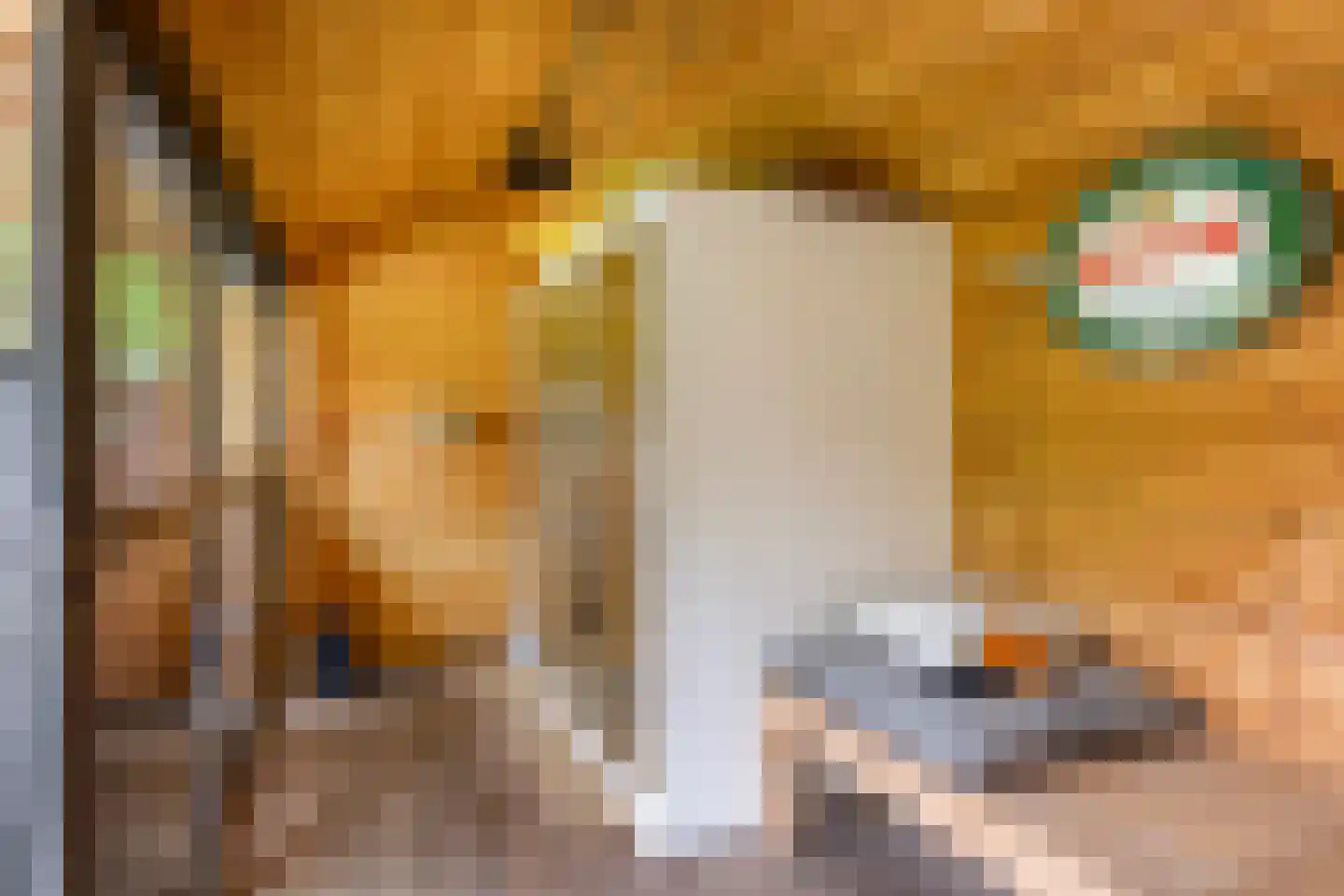 Spoorstraat 23 Lunteren thumbnail 64