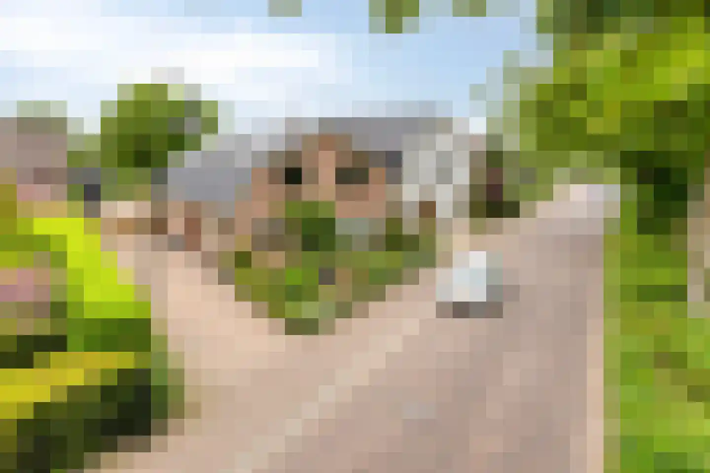Spoorstraat 23 Lunteren thumbnail 71