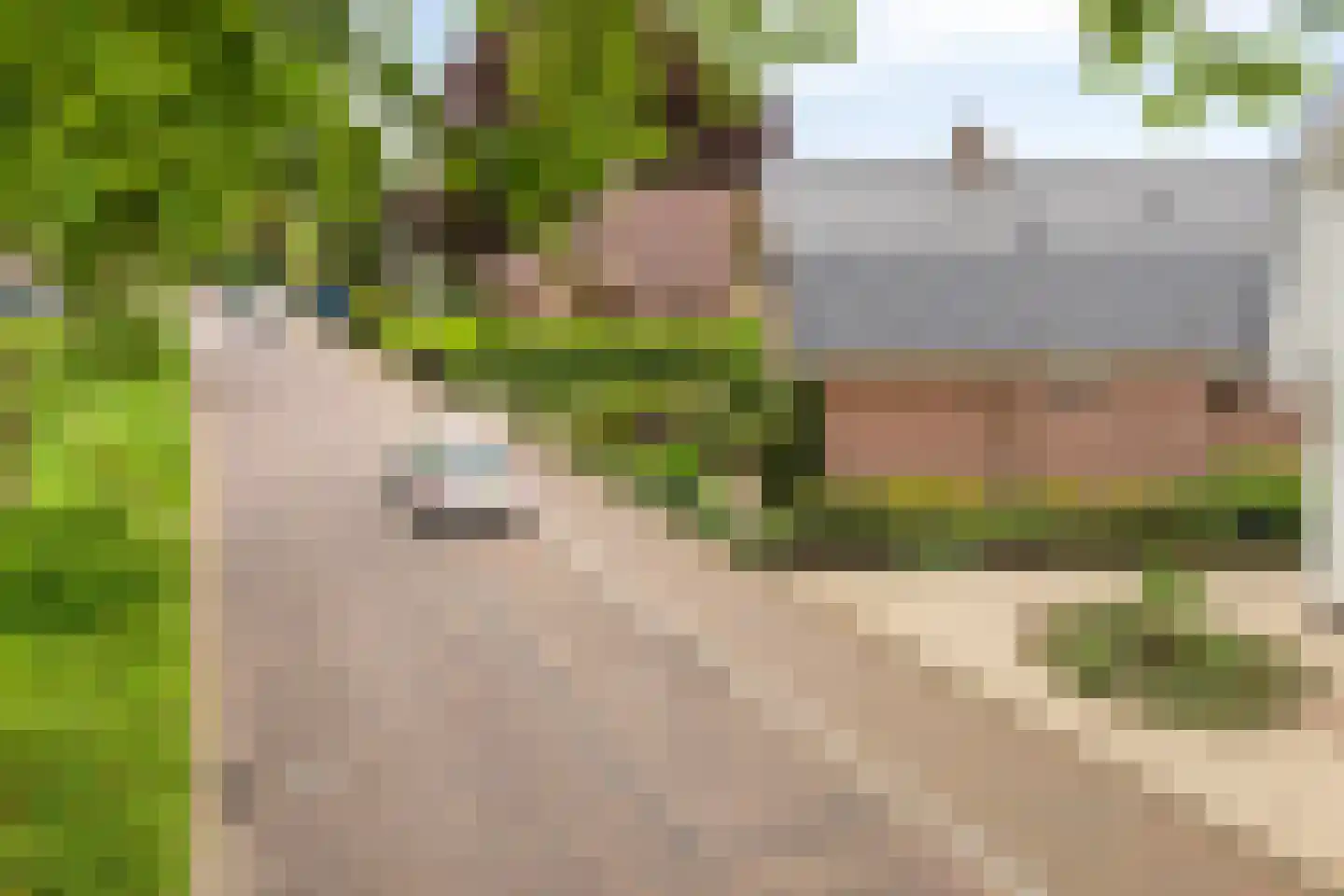 Spoorstraat 23 Lunteren thumbnail 73