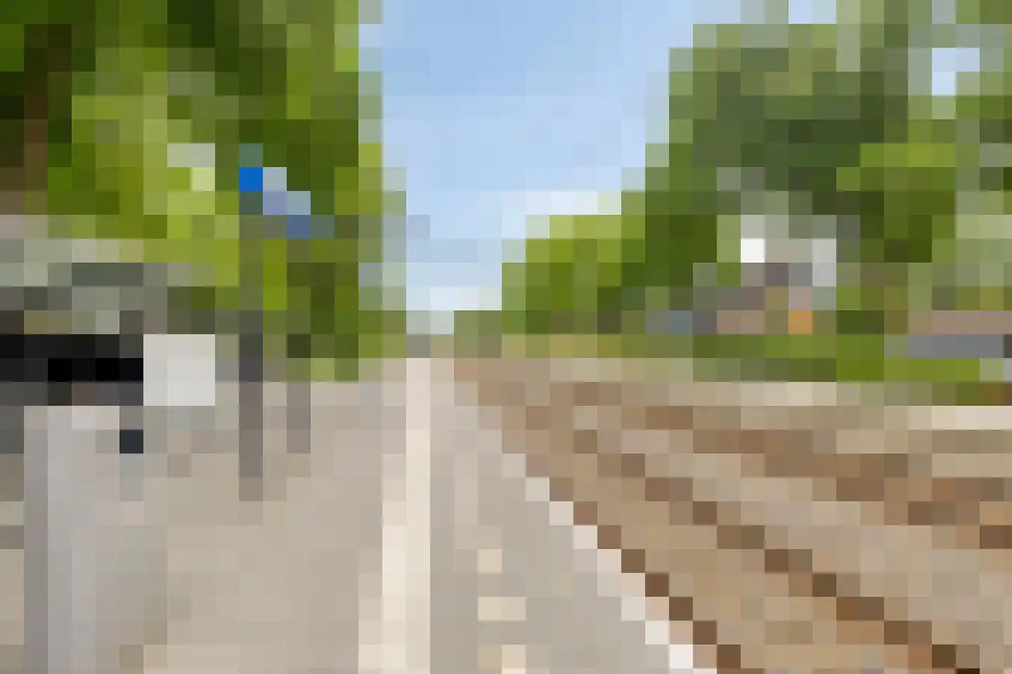 Spoorstraat 23 Lunteren thumbnail 74