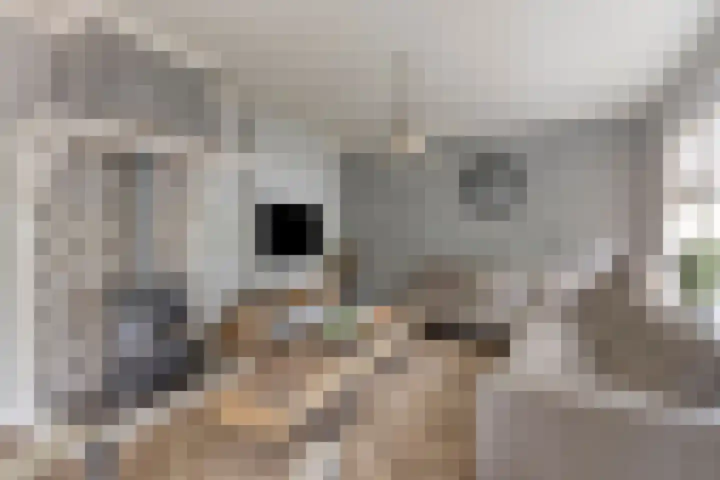 Spoorstraat 23 Lunteren thumbnail 8