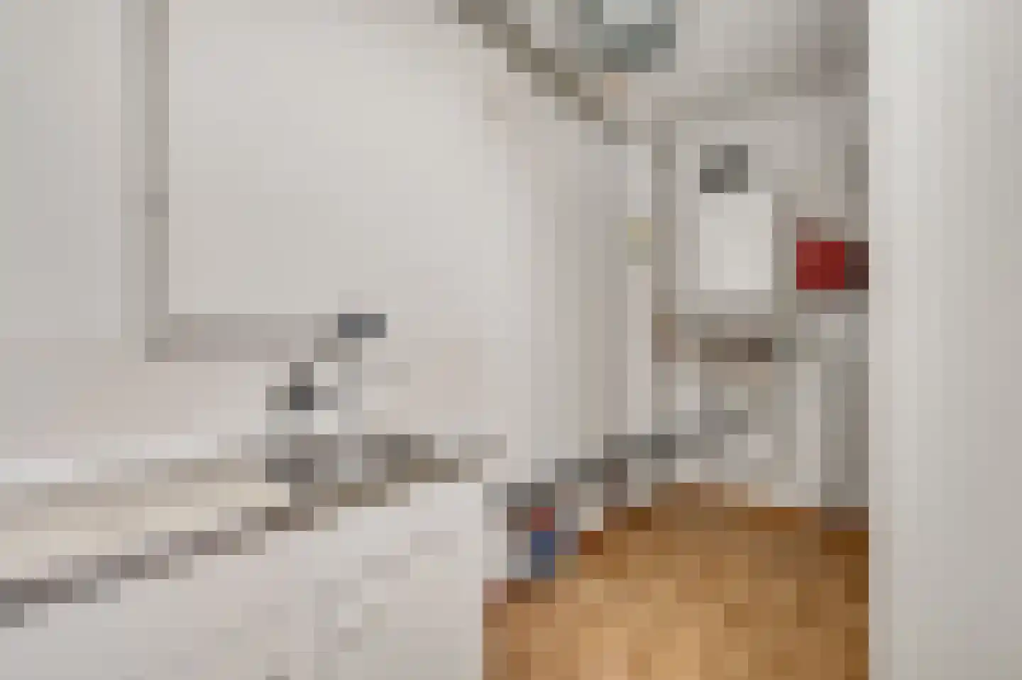 Spoorstraat 25 Bunde thumbnail 9