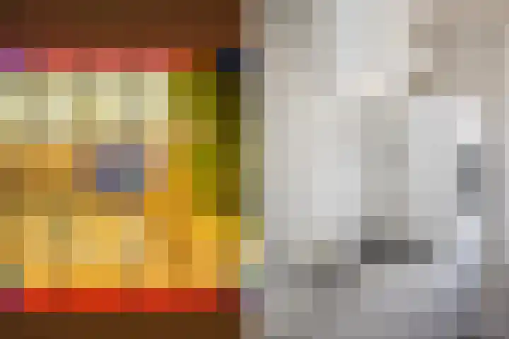 Spoorstraat 25 Zwolle thumbnail 13