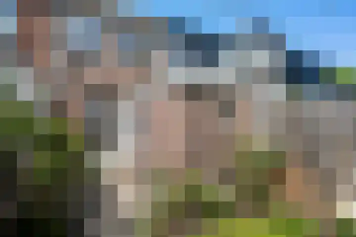 Spoorstraat 25 Zwolle thumbnail 28