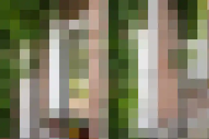 Spoorstraat 25 Zwolle thumbnail 5