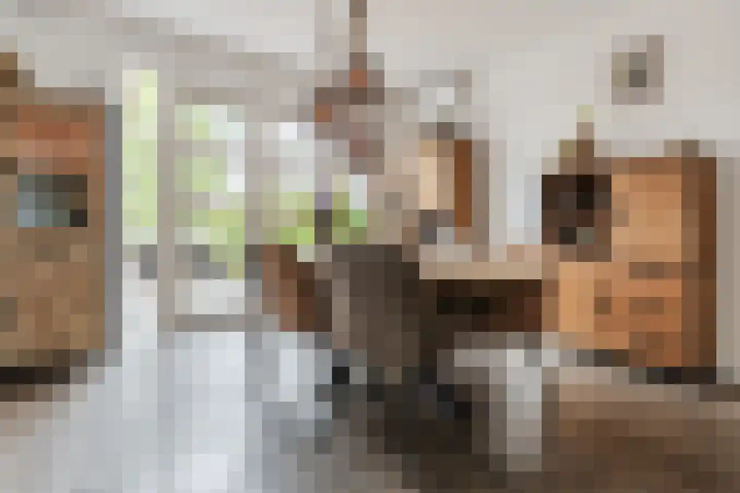 Spoorstraat 27 Hooge Zwaluwe thumbnail 10