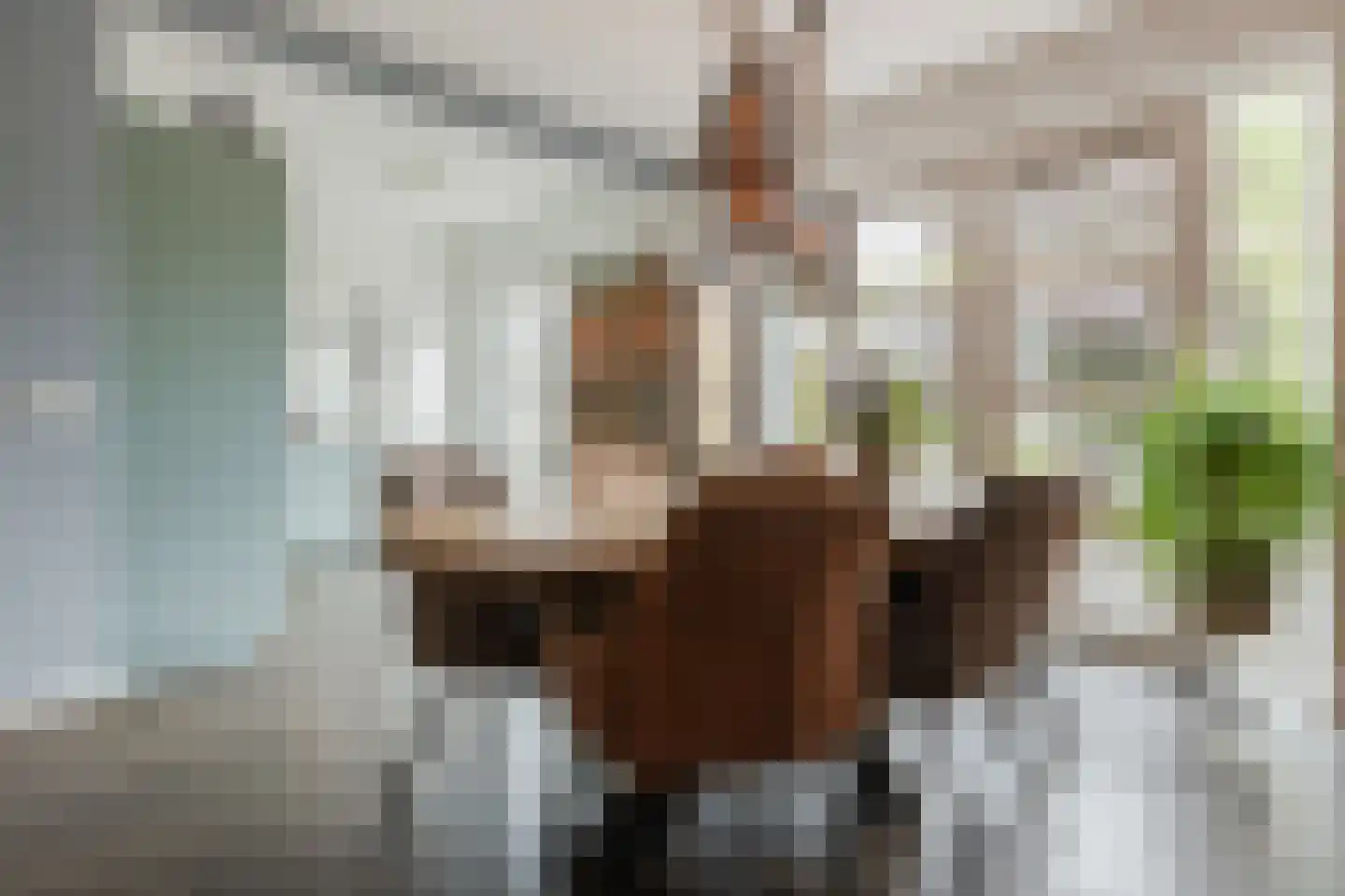 Spoorstraat 27 Hooge Zwaluwe thumbnail 11