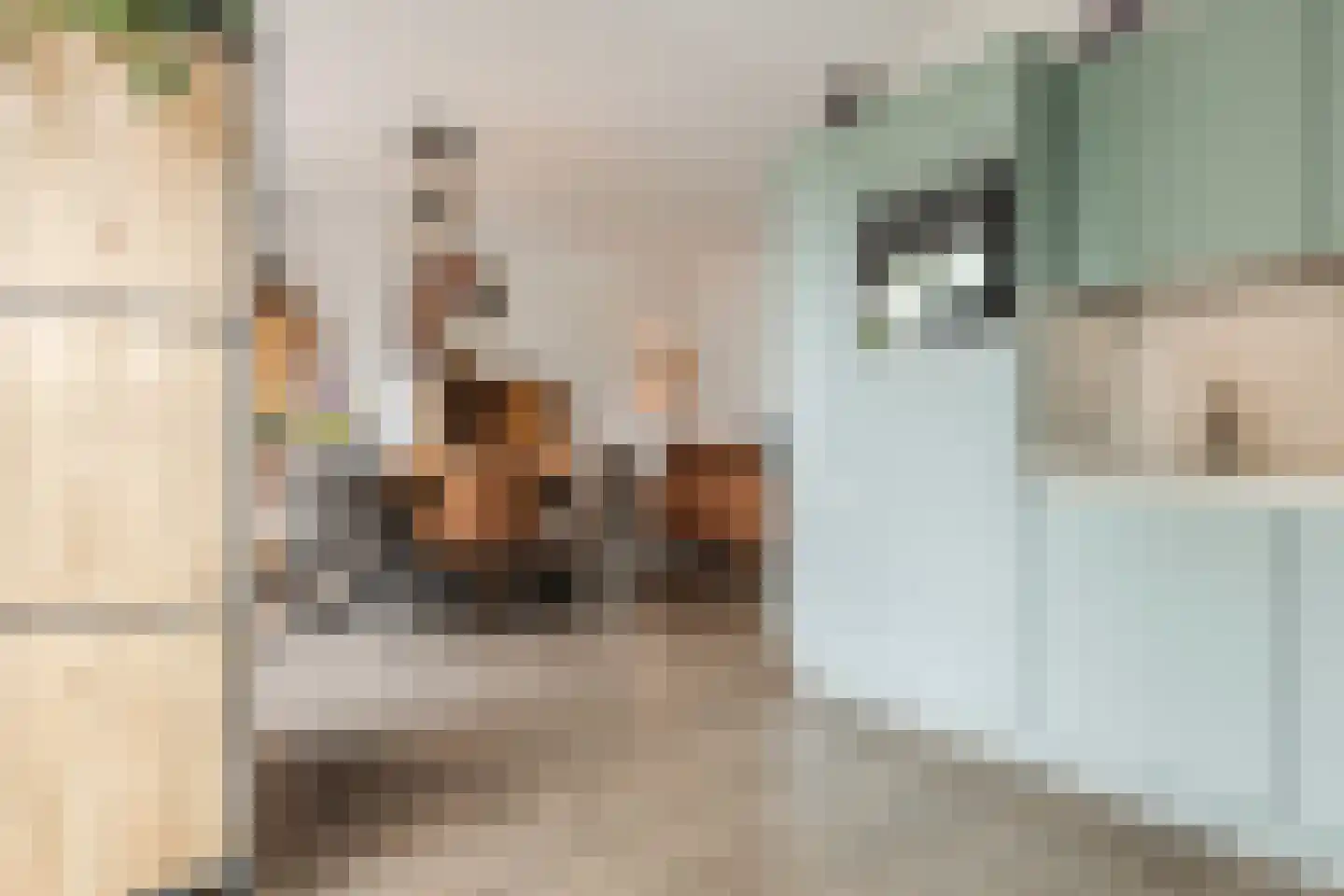 Spoorstraat 27 Hooge Zwaluwe thumbnail 13