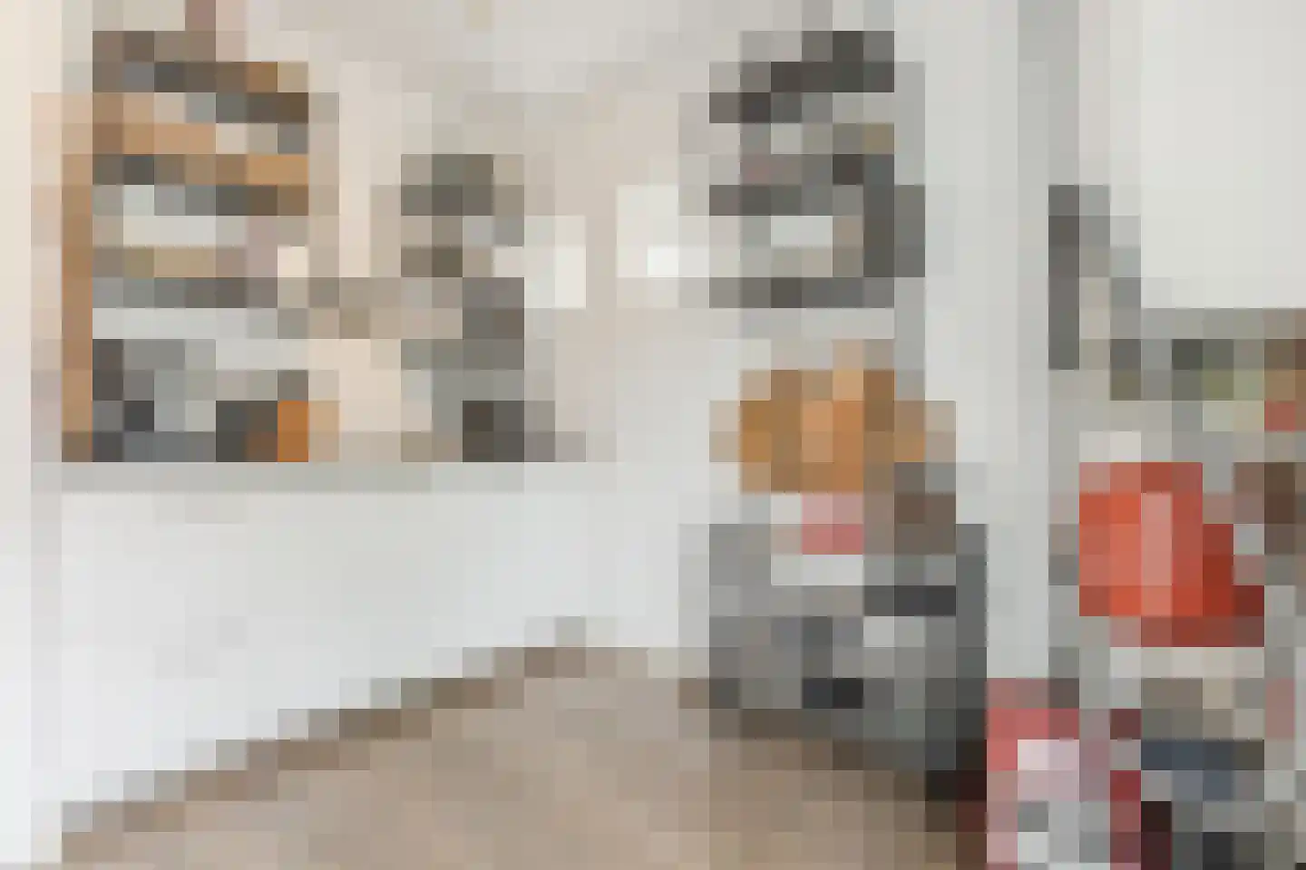 Spoorstraat 27 Hooge Zwaluwe thumbnail 14